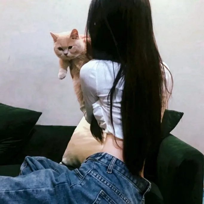 蛇蝎美人第一季